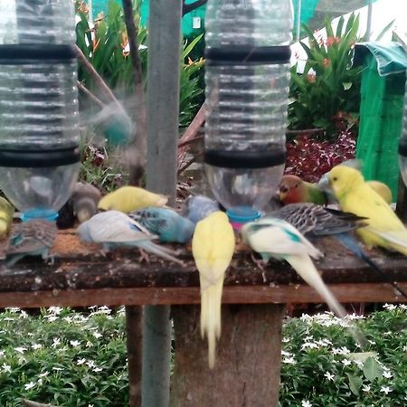 T Garden Villa Pantai Cenang  Ngoại thất bức ảnh