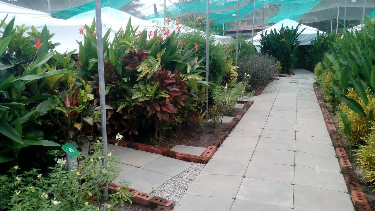 T Garden Villa Pantai Cenang  Ngoại thất bức ảnh