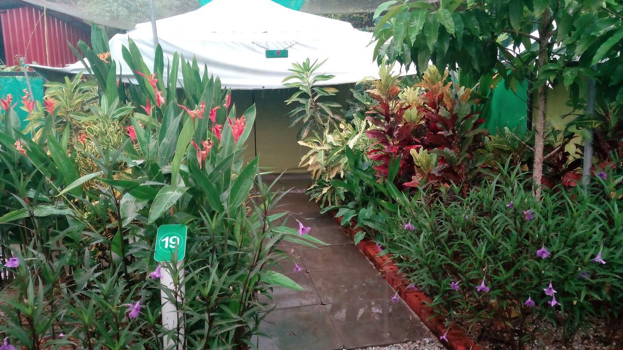 T Garden Villa Pantai Cenang  Ngoại thất bức ảnh