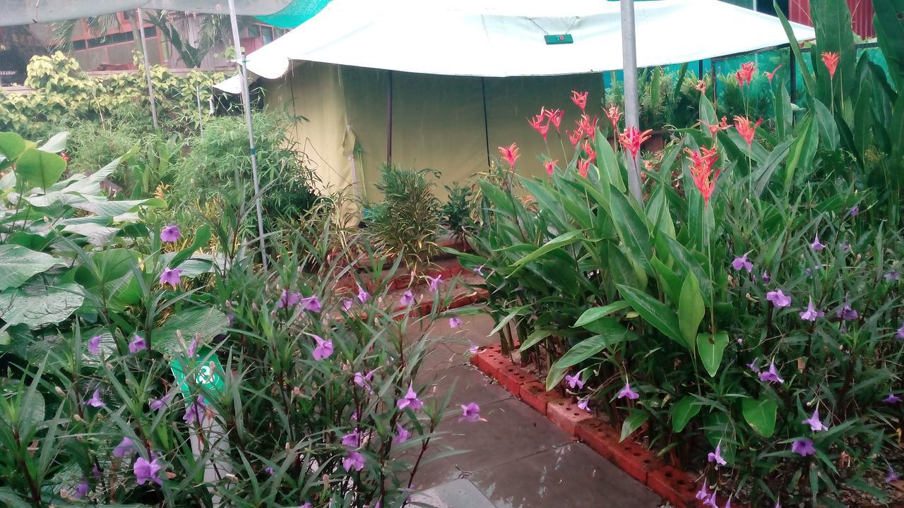 T Garden Villa Pantai Cenang  Ngoại thất bức ảnh