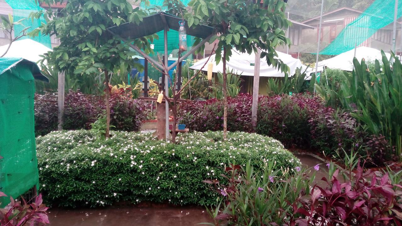 T Garden Villa Pantai Cenang  Ngoại thất bức ảnh
